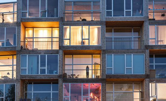 BIG DONG Dortheavej Basiki