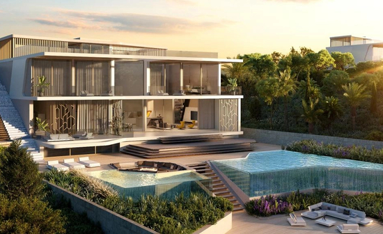 Terra viva lamborghini